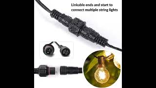 G40 Outdoor Bulb String Lights Hanging  IP44 Rainproof [upl. by Teresina]