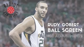 Rudy Gobert ICE Adjustments [upl. by Helenka862]