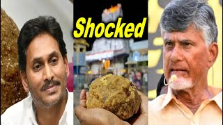 Animal Fat in Tirupati Laddu Prasadam During Jagans Regime AP CM Chandrababu Naidu Accuses Bagheer [upl. by Rehpotsirk]