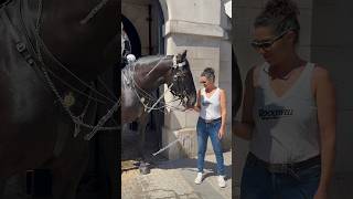 Charming Horses Flirtatious Reaction to Lady Touristquot Shorts [upl. by Hugues]