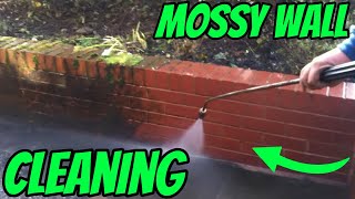 CLEANING A MOSSY WALL [upl. by Weinberg]