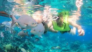 Snorkeling op Playa Coral [upl. by Mackler]