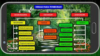 Gerak Pada Tumbuhan Materi Lengkap [upl. by Schwejda512]