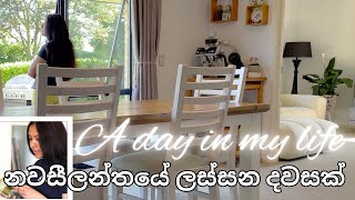 නවසීලන්තයේ ලස්සන දවසක්😍  සිංහල VLOG 55  New Zealand  Sri Lankan  Sinhala vlog [upl. by Lerud781]