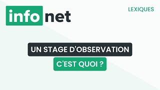 Un stage dobservation cest quoi  définition aide lexique tuto explication [upl. by Sanbo]