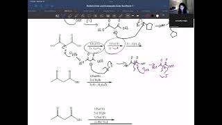 Malonic Ester and Acetoacetic Ester Synthesis [upl. by Yllah]