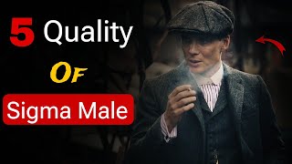 5 Quality Of Sigma Male Hindi [upl. by Bertram208]