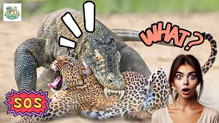 Times Animals Messed With Wrong Opponents  P2 [upl. by Vogeley299]