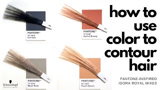 How to Use Color to Contour Hair 🎨 PantoneInspired IGORA ROYAL Mixes  Schwarzkopf Professional [upl. by Hasheem]