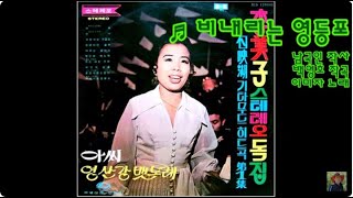 비내리는 영등포  이미자 kpop 韓國歌謠 [upl. by Yaffit415]