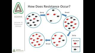 Insecticide Resistance Mechanisms and Management [upl. by Hunger823]