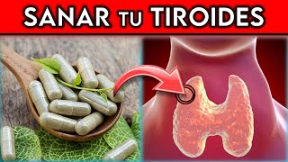 La VITAMINA OBLIGATORIA que tu TIROIDES NECESITA [upl. by Kapor]