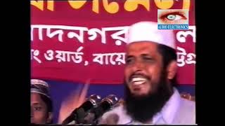 নবীজির মেরাজ  মাওলানা তোফাজ্জল হোসেন  Mawlana Tofazzal Hossain l Bangla Waz [upl. by Atirahs]