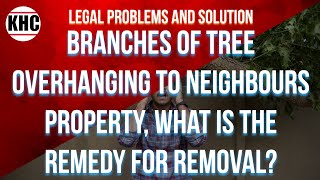 Branches of Tree Overhanging to Neighbours Property What is the Remedy for Removal [upl. by Ssilem]