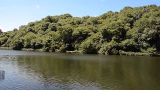 LOWER SLADE RESERVOIR ILFRACOMBE DEVON [upl. by Zadack722]