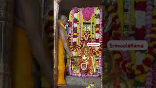 Mantralaya Sri Guru Raghavendra Swamy devotional status [upl. by Hanavas]