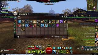 Spellbreaker Roaming  Immortal build  Gw2  WvW [upl. by Emmanuel]