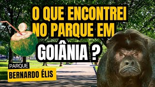 Giro no parque Bernardo Élis em Goiânia [upl. by Shute]