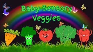 Baby Sensory Veggies [upl. by Enytsuj]