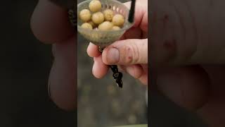 Cell Cell Cell The perfect carp fishing bait shorts Baits Carp Fishing TV [upl. by Siroval]