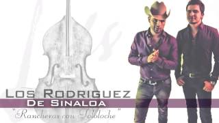 Los Rodriguez De Sinaloa  Rancheras Con Tololoche PREVIA [upl. by Yliab219]