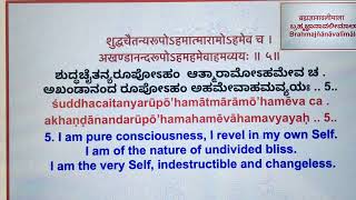 Nidhidhyasana Practice Brahma Jnanavali Mala Verse 5 [upl. by Dorian]