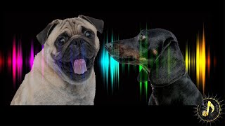 Dogs Barking Sound Effect  Sounds Dogs Love [upl. by Nichani144]