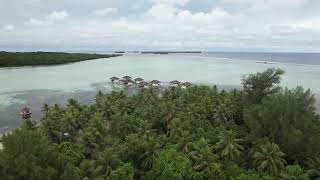 Drone Aerial video of the famous Para Nuii in the island garden of Pohnpei Ponape State FSM [upl. by Aihtebat]