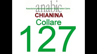 CHIANINA  127 IT054990270428 [upl. by Fitzhugh]