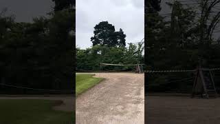 Trentham Gardens stokeontrent daysoutwithkids  therealstokie uk yiutubeshort [upl. by Notlok]