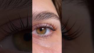 ламинирование lashline ламинированиересниц lashextensions lashes ламиресниц eyelashes [upl. by Bradleigh]