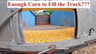 Corn Harvest Begins  A Horribly Bad Crappy Day [upl. by Nyladnar22]