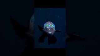 Life under the deep ocean 🪸🌊 its scary 😨 ocean fish ytshorts [upl. by Ahsiema]