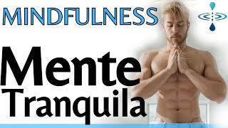 TRANQUILIZE SUA MENTE COMBATA A ANSIEDADE E TENHA UM DIA PERFEITO  MINDFULNESS GUIADA [upl. by Stacie735]