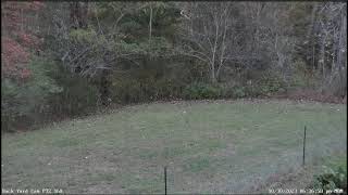 LIVE Deer Cam Virginia [upl. by Coleen]