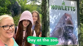 Day out at Howletts Animal Park Kent [upl. by Shirah]