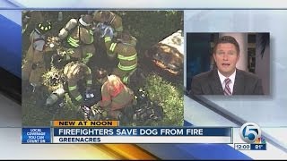 Firefighters treat dog after Greenacres house fire [upl. by Eizzil]