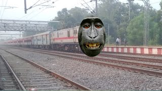 Dangerous Angry Black⚫Monkey Headed Rajdhani Express Smoothly Skip Throughout Station [upl. by Kidd]