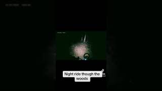 Night ride Rebel cmx scrambler custom hondamotorcycle bikelife motovlog moto motard honda [upl. by Eyatnod]