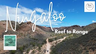 Ningaloo Reef to Range І Cape Range National Park [upl. by Almita270]