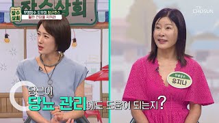 🥕당근주스🥕 혈압과 혈당 조절을 도와 당뇨 amp 혈관질환 예방에 도움👍 TV CHOSUN 240724 방송  장수상회 90회  TV조선 [upl. by Mozes]