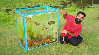 Beautiful Aquarium Made From Nature  തോട്ടിലെ സാദനങ്ങൾ ഉപയോഗിച്ച് ഉണ്ടാക്കിയ അക്വാറിയം  M4 Tech [upl. by Roos]