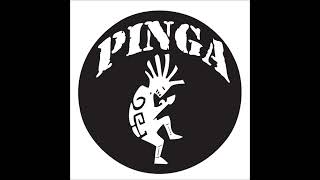 PINGA  Studio Z Demos 2004 FULL ALBUM NU METAL [upl. by Ellasal846]