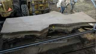 Sawing a 17 Foot Long Black Walnut Log [upl. by Aserat]