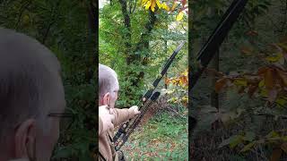 3d Fallow Deer Target  Black Widow PSAX Carbon Rig [upl. by Diskin549]