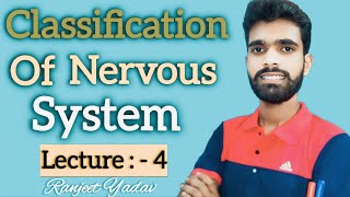 Classification of nervous system ॥ Anatomy and physiology of nervous system [upl. by Rhodia179]