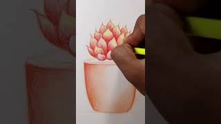 quotStepbyStep Fuldani Flower Drawing for Beginnersquot [upl. by Nimajneb]