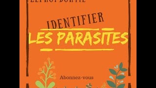 La reconnaissance des parasites  zeprofdortie [upl. by Redan]