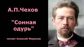 АПЧехов quotСонная одурьquot [upl. by Ruyam]