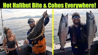 Hot Halibut Bite and Cohos Everywhere Alaskan Halibut amp Salmon Fishing  Juneau Alaska AUG 2023 [upl. by Titos725]